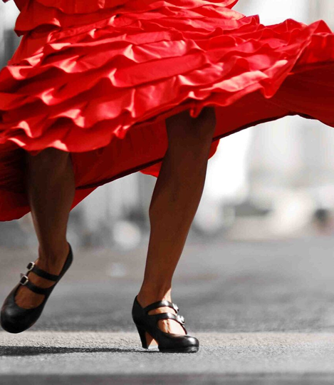 flamencosobrenosotros 1024x984.jpg